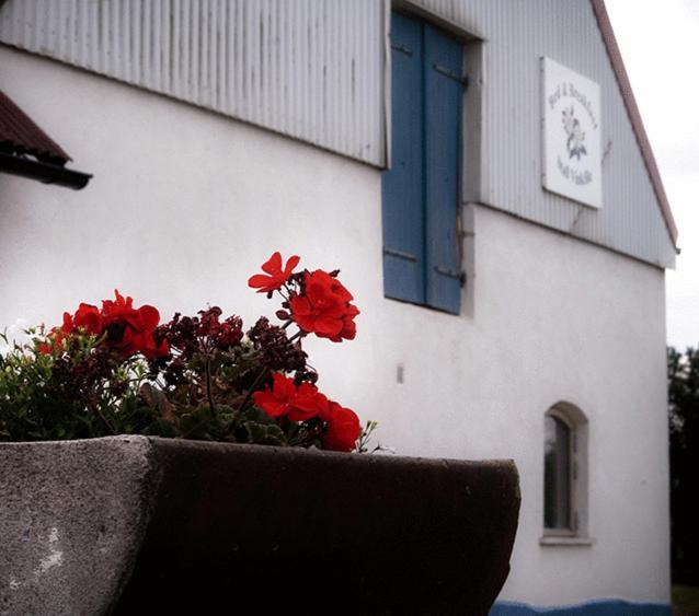 Bed & Breakfast Vinkille Loderup Экстерьер фото