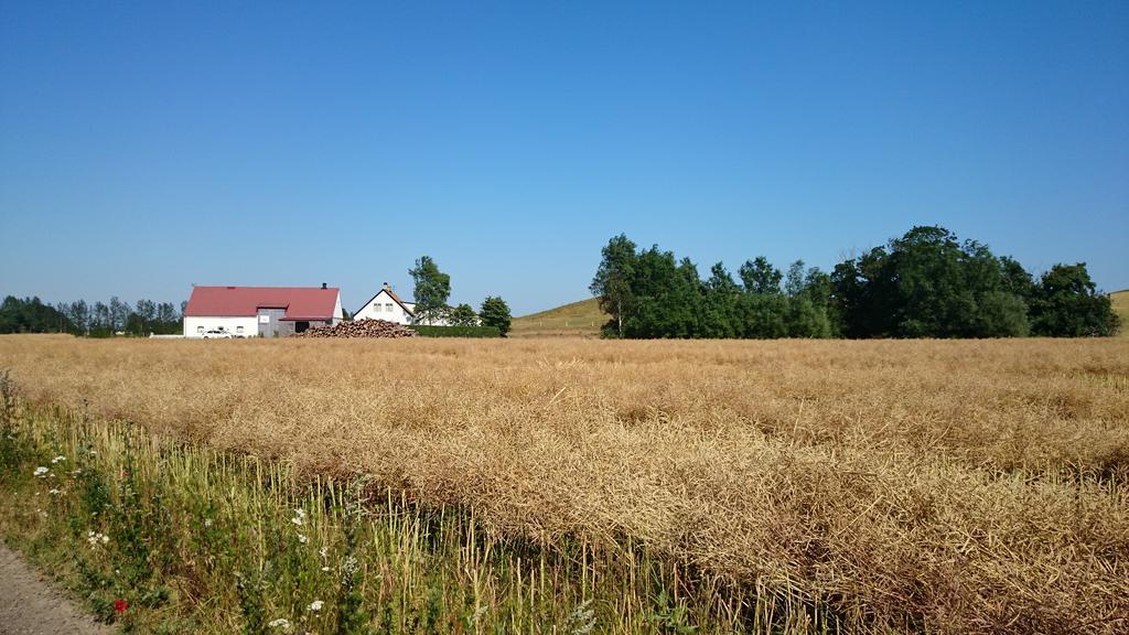 Bed & Breakfast Vinkille Loderup Экстерьер фото
