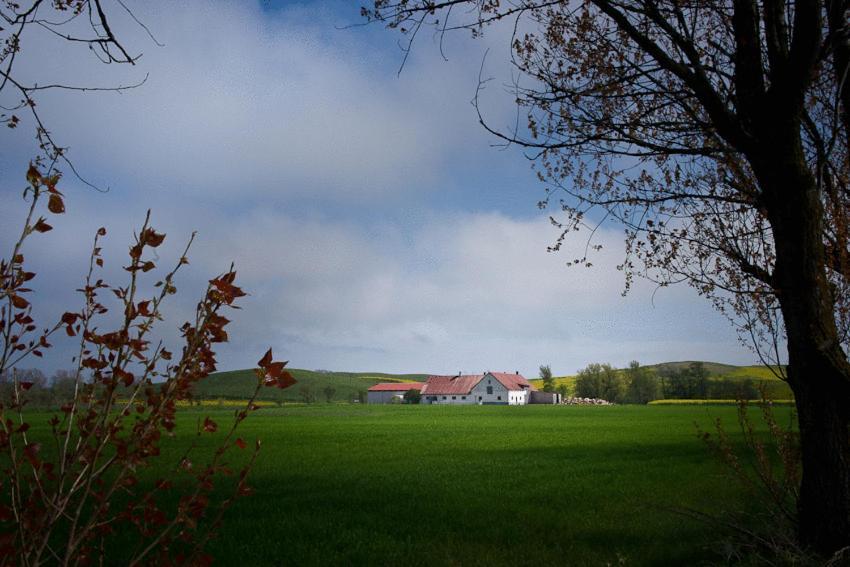 Bed & Breakfast Vinkille Loderup Экстерьер фото